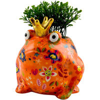 Grenouille Freddy | Pot De Fleur