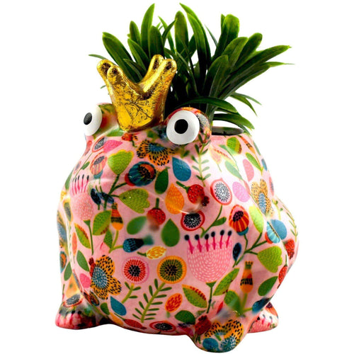 Grenouille Freddy | Pot De Fleur