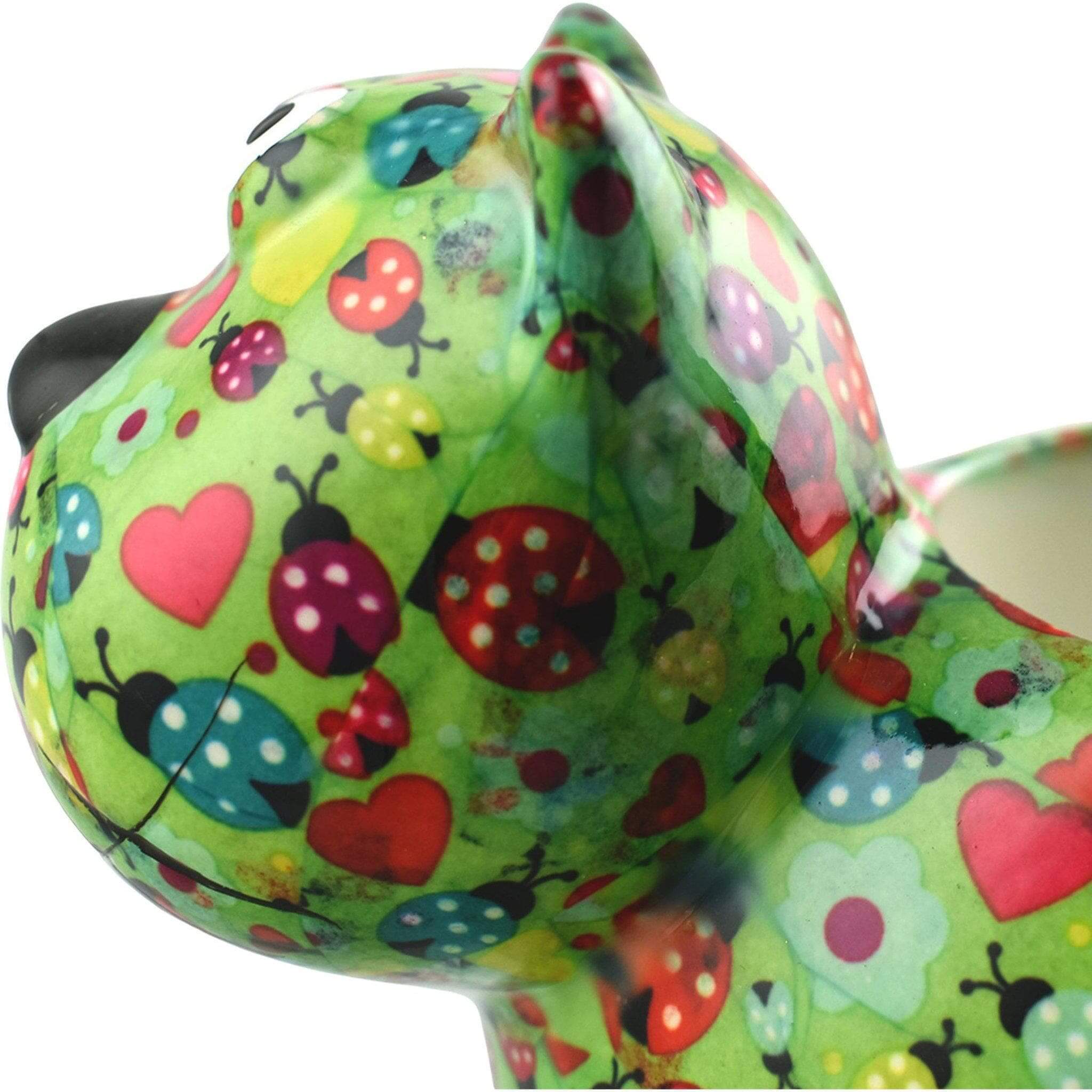 Chat Dorothy | Pot De Fleur