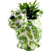 Chat Dorothy | Pot De Fleur