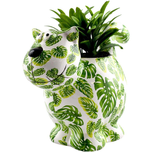 Chat Dorothy | Pot De Fleur