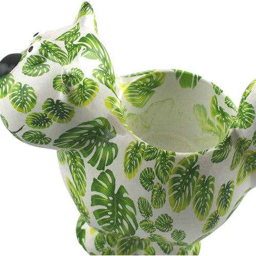 Chat Dorothy | Pot De Fleur