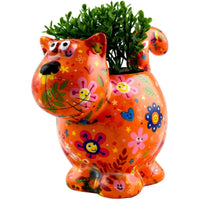 Chat Dorothy | Pot De Fleur