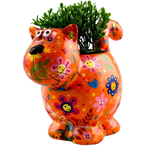 Chat Dorothy | Pot De Fleur