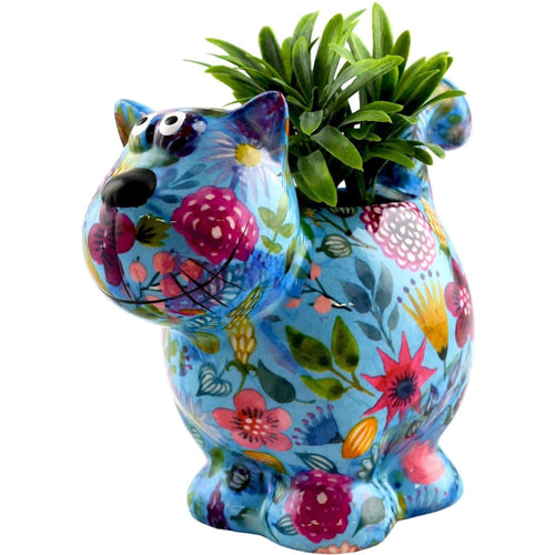 Chat Dorothy | Pot De Fleur