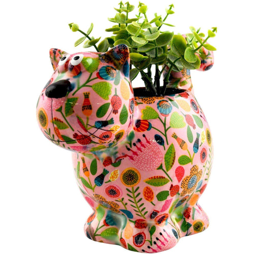 Chat Dorothy | Pot De Fleur