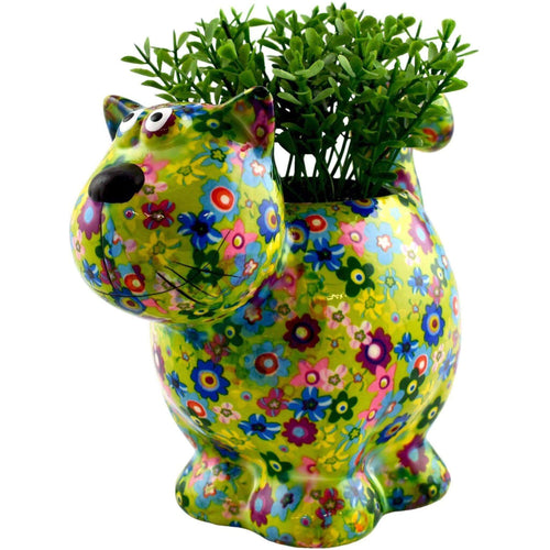 Chat Dorothy | Pot De Fleur