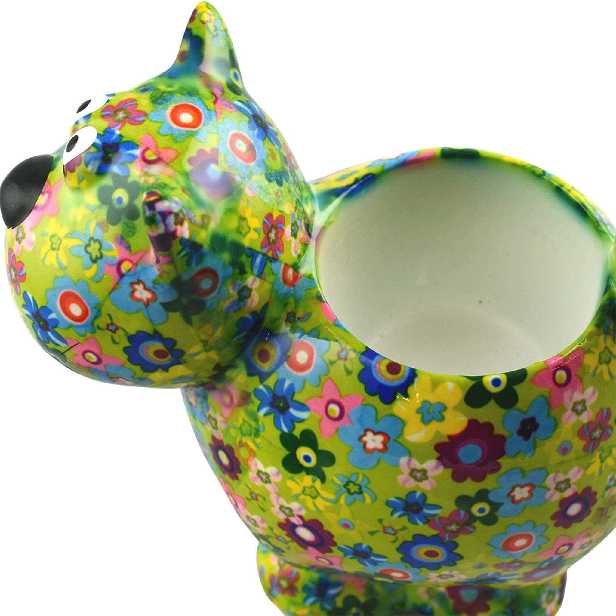 Chat Dorothy | Pot De Fleur