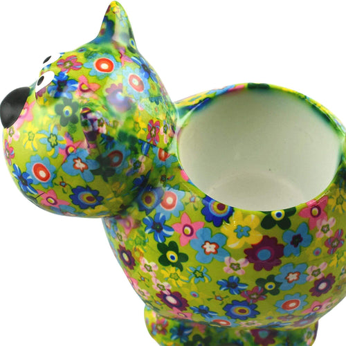 Chat Dorothy | Pot De Fleur