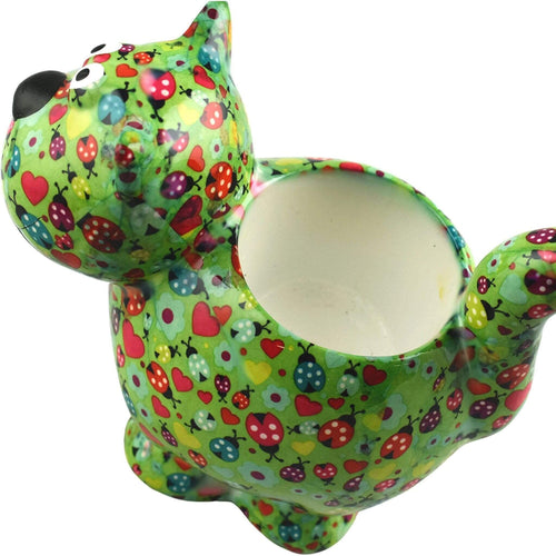 Chat Dorothy | Pot De Fleur