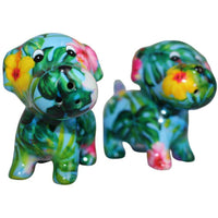 Chien Bruno | Ensemble Sel & Poivre