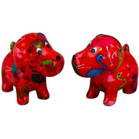 Chien Bruno | Ensemble Sel & Poivre