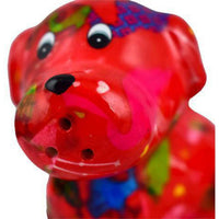 Chien Bruno | Ensemble Sel & Poivre